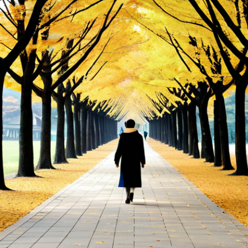 Home 24 A solo adult traveler, fully clothed in warm, modest autumn attire, walking along the iconic tree-lined path on Nami Island in Chuncheon, South Korea. The environment features elegant trees with soft autumn foliage, creating a serene and contemplative atmosphere. The lighting is soft, natural daylight. Perfect anatomy, correct proportions, natural pose, well-formed hands, proper finger count, natural body proportions. High-resolution, professional photography, safe for work, appropriate content, family-friendly, fully clothed.