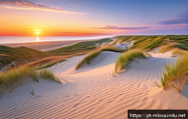 이터널 선샤인 영화 속 몬탁 해변 - A breathtaking view of Montauk’s golden sand dunes and expansive beaches under a vibrant sunset sky,...